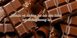 Socola và những lợi ích sức khoẻ mà chúng mang lại