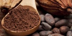 The Miraculous Uses of Cocoa Cannot Be Missed