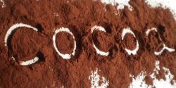 Best Practices of Cocoa Powder