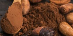 Is Cocoa Soluble Fiber Effective For Weight Loss?