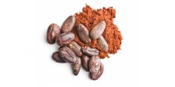 Cocoa Powder - Antioxidant Specialist