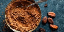 Characteristics and composition of cocoa powder