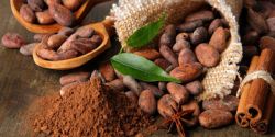 Reasons You Should Choose Pure Cocoa Powder Instead Of Cocoa Powder