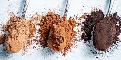How many types of cocoa powder in the market today?