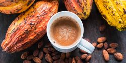 Những lợi ích tuyệt vời của 1 cốc cacao nóng trước khi đi ngủ