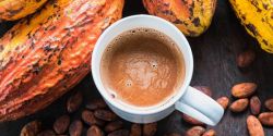 What Is Cocoa Effect And Should It Be For Children?