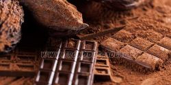 What is the difference between cocoa powder and chocolate powder?