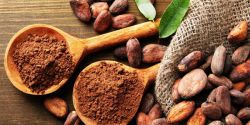 What are the benefits of drinking cocoa?