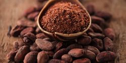 Drinking Cocoa Helps Stabilize Blood Pressure No