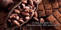 5 cách đơn giản để chọn mua được bột cacao ngon