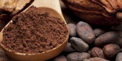 Where to buy pure cocoa powder in Dong Nai province?