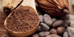 How best to use cocoa powder?