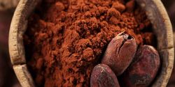 How to use cocoa properly?