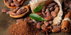 Lose fat, gain muscle with pure cocoa powder
