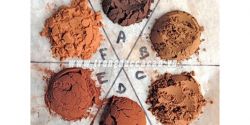 Why is the color of cocoa powder different?
