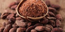 Revealing the wonderful beauty effects of cocoa powder for women