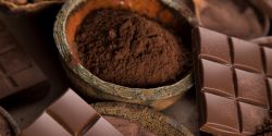 Effects Of Cocoa For Children How?