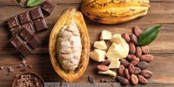A few ways to choose quality cocoa butter