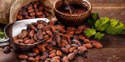 Review 8 Benefits Of Cocoa Powder And Contraindications To Use