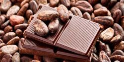 The Effects Of Cocoa Treating Aging Insomnia