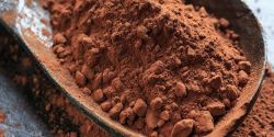 Cacao tốt cho não bộ người cao tuổi