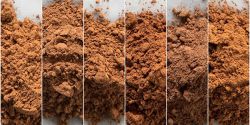 5 simple ways to choose to buy delicious cocoa powder