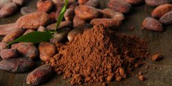 Bột cacao nguyên chất - Món quà tốt cho sức khoẻ