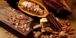 Cocoa - One of The World's Richest Magnesium Foods.