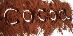Cao huyết áp uống cacao được không?