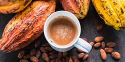 The health and nutritional benefits of cocoa powder for everyone
