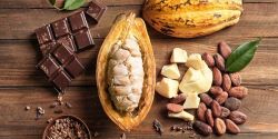 Cách làm socola từ bột cacao và những lưu ý khi vận dụng