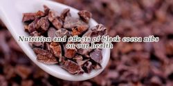 Dinh dưỡng và tác dụng của cacao nibs đem đến cho sức khoẻ của chúng ta