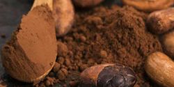 Notes and cautions when using cocoa powder