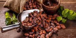 Amazing health benefits of cocoa