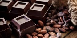What Are The Difference Between Chocolate And Cocoa?