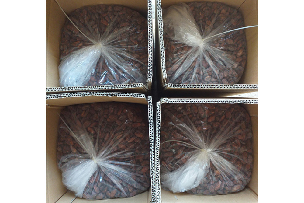 Cocoa beans