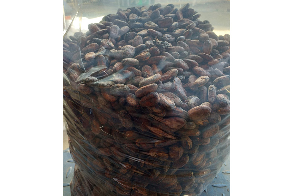 Cocoa beans