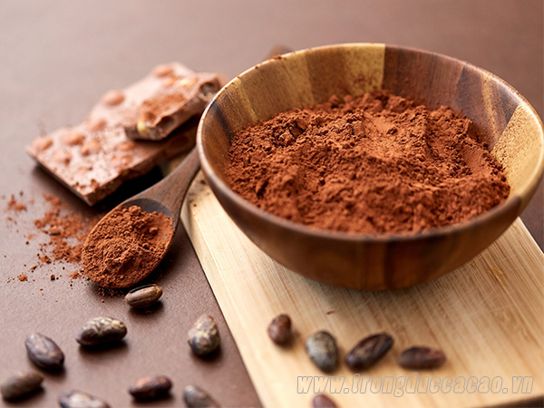 CACAO CÓ TỐT CHO TRẺ EM KHÔNG? 