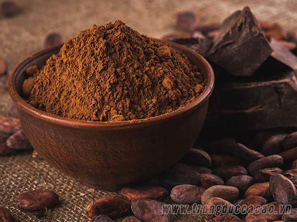 CACAO CÓ TỐT CHO TRẺ EM KHÔNG? 