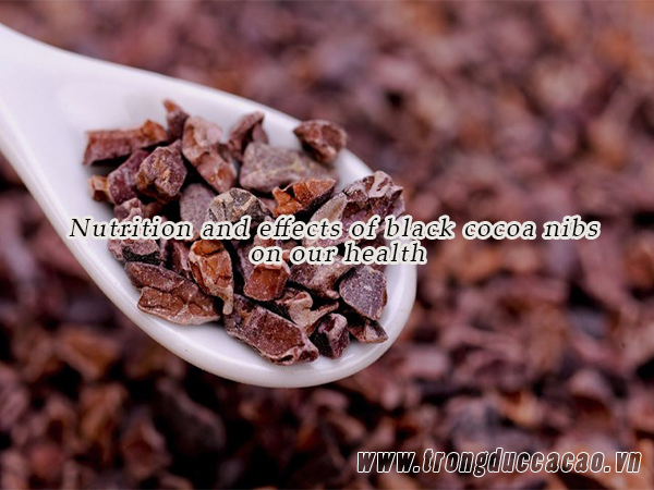 Tác dụng của cacao nibs với sức khỏe