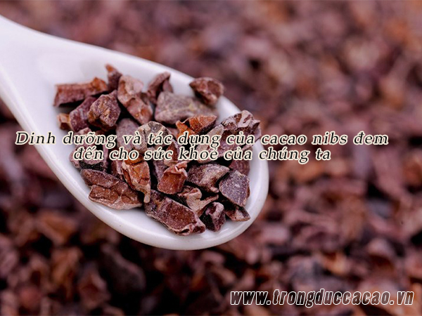 Tác dụng của cacao nibs với sức khỏe