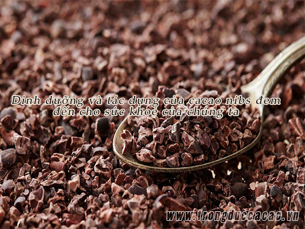 Cacao nibs giúp kiểm soát lượng đường trong máu